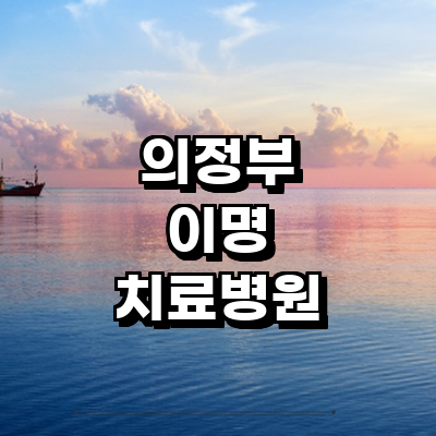 의정부시 이명