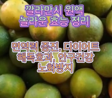 깔라만시-원액-효능-다이어트-효과