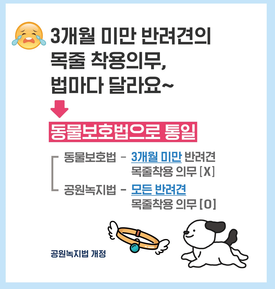 반려견 목줄 착용의무 통일