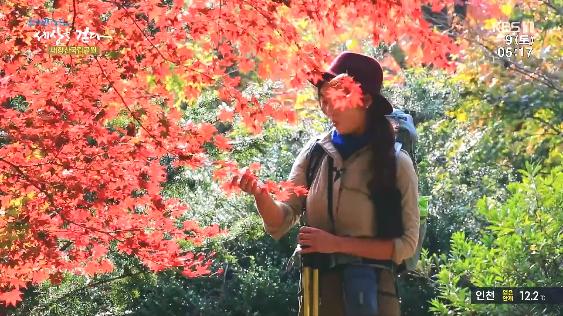 트레킹노트 세상을 걷다.E298.231209p.H264-F1RST.mp4_20240105_205419.552.jpg