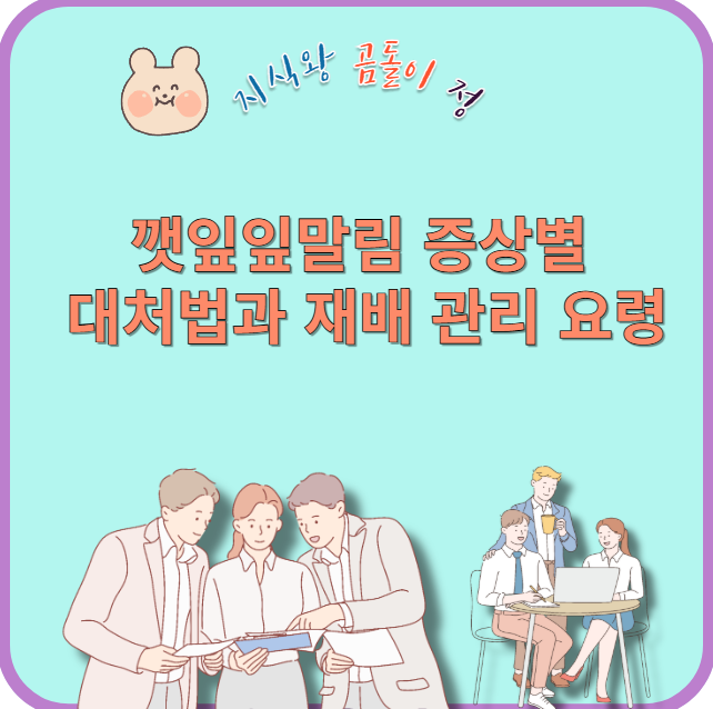 깻잎잎말림 증상별 대처법과 재배 관리 요령