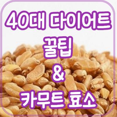 40대 복부비만 다이어트 꿀팁 및 카무트 효소 효능