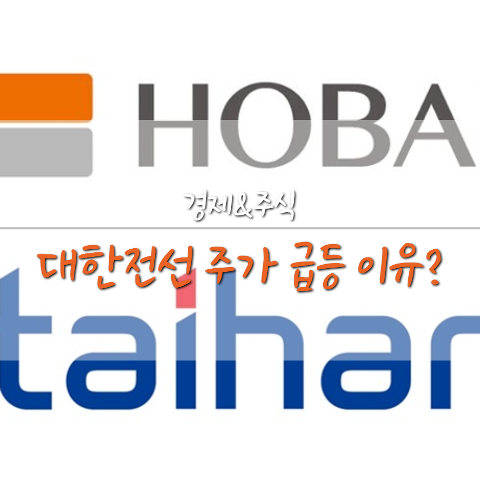  대한전선 주가 10일만에 3배 폭등한 이유는?