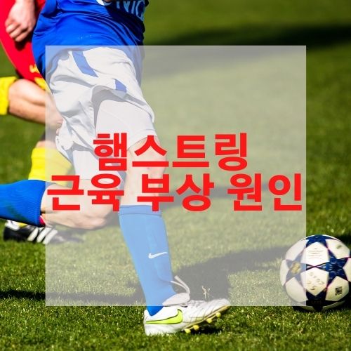  햄스트링 근육 부상 원인