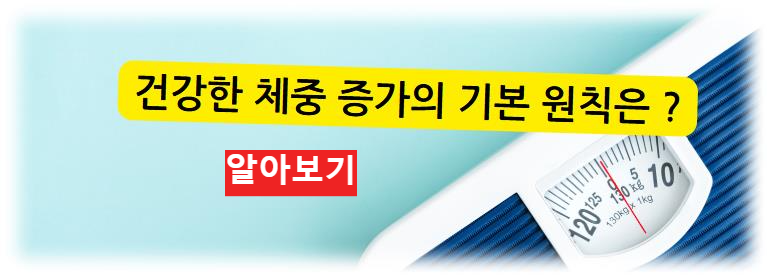 건강한 체중 증가의 기본 원칙은?