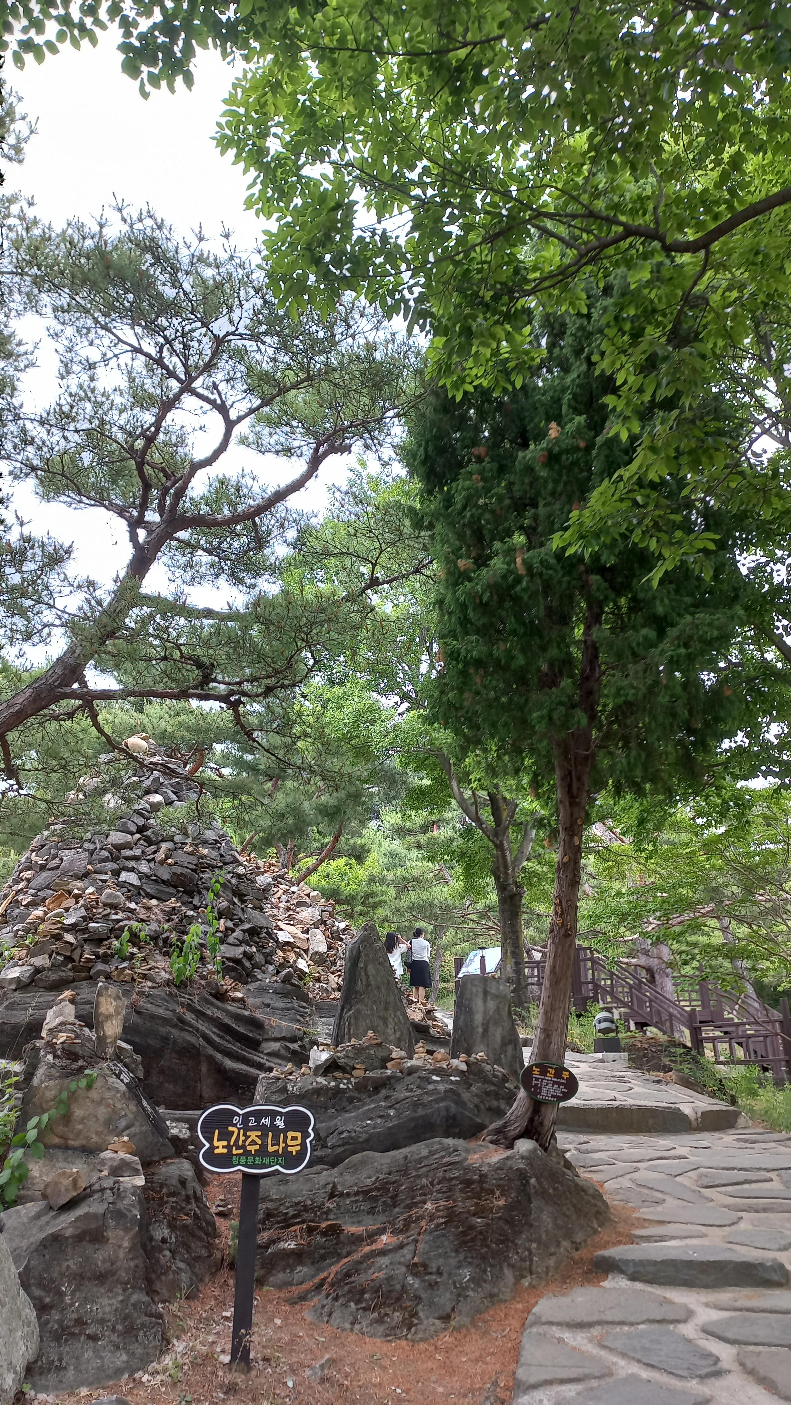 청풍명월의 고장, 제천 청풍 문화재단지(2/2) 한벽루와 망월산성과 망월루 - 휴식같은 여행으로의 초대 이미지