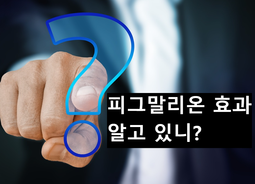  피그말리온 효과란 무엇인가?