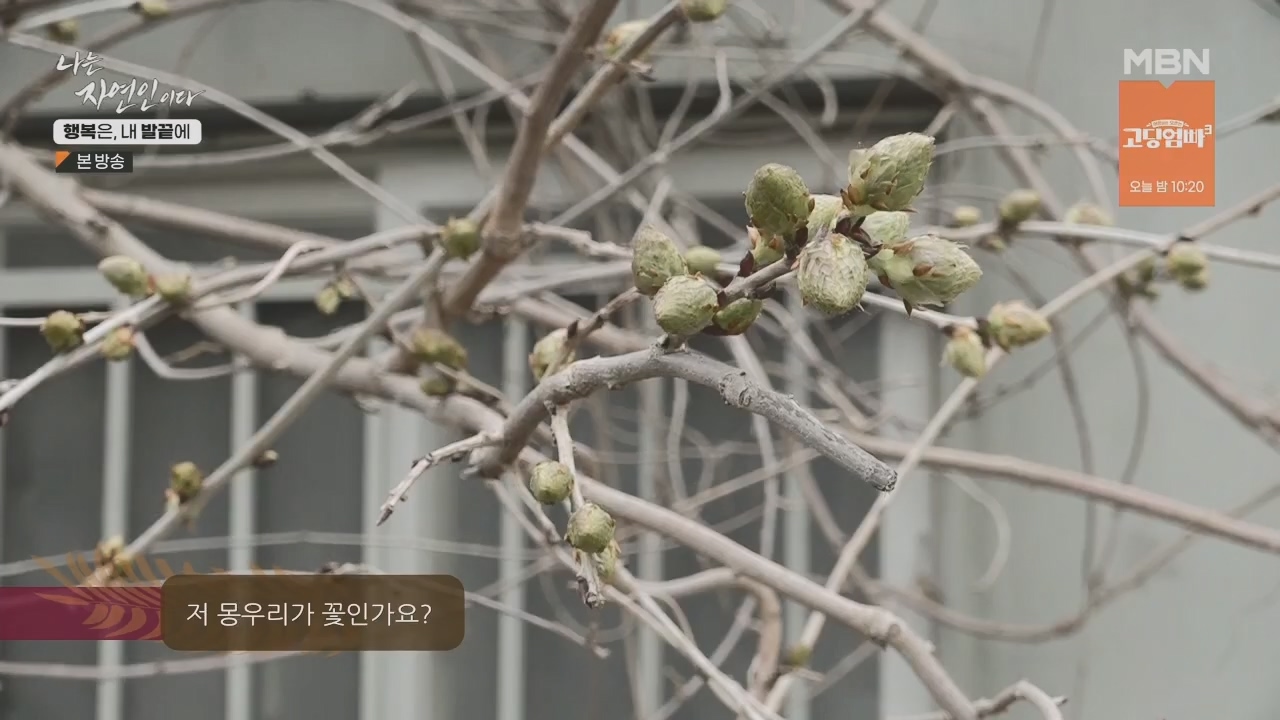나는 자연인이다.E551.230427p.H264-F1RST.mp4_20230427_200322.869.jpg
