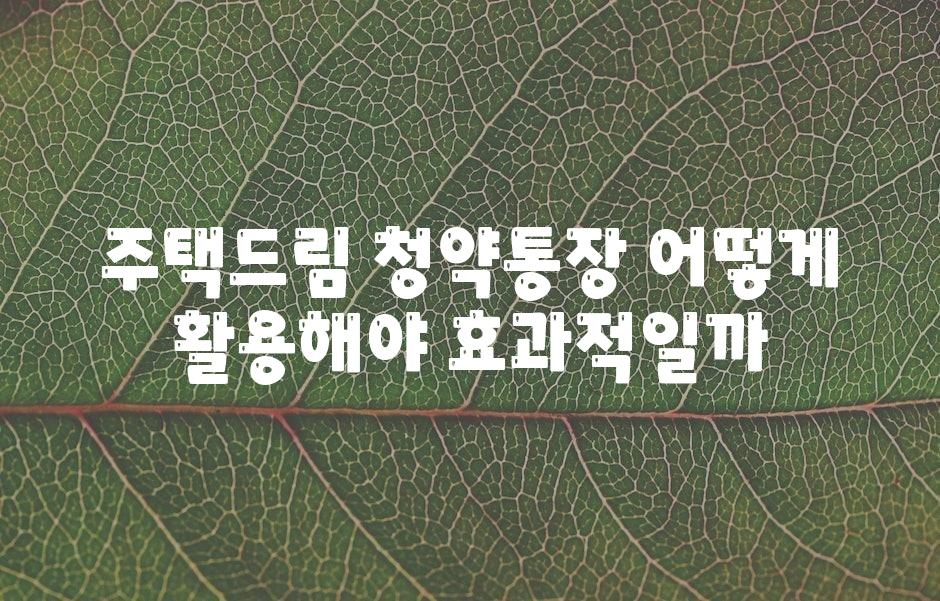 주택드림 청약통장 어떻게 활용해야 효과적일까