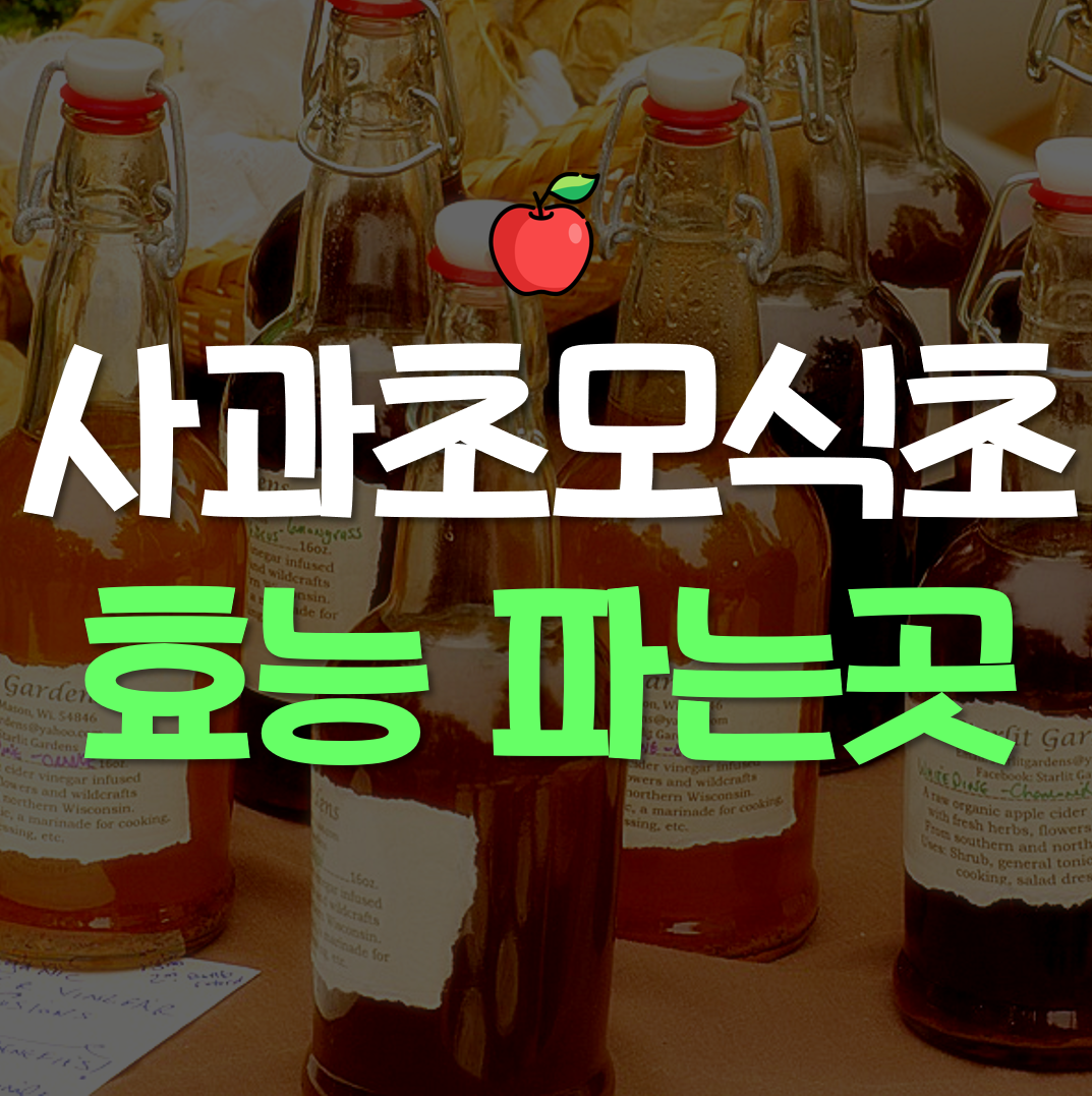  사과 초모 식초 효능 파는곳
