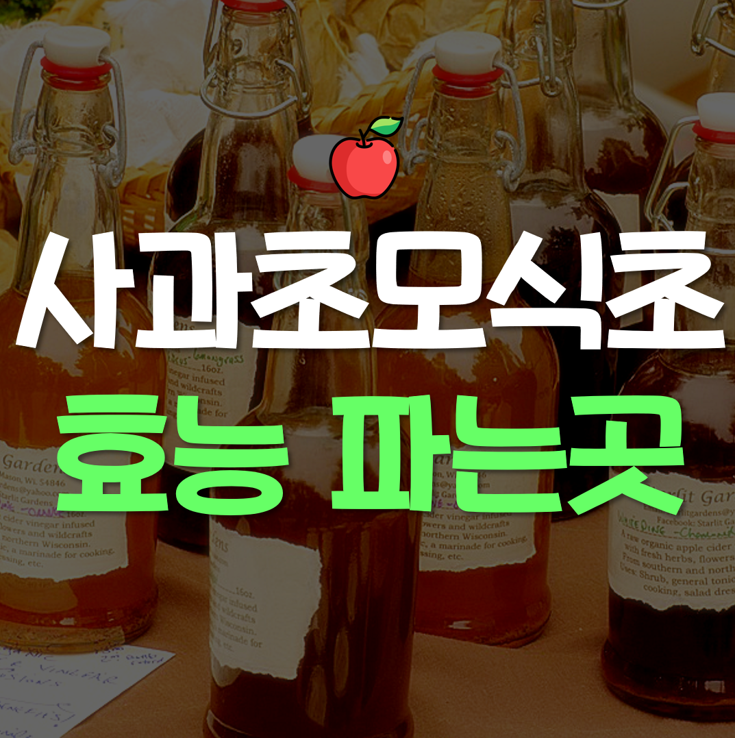 사과-초모-식초-효능