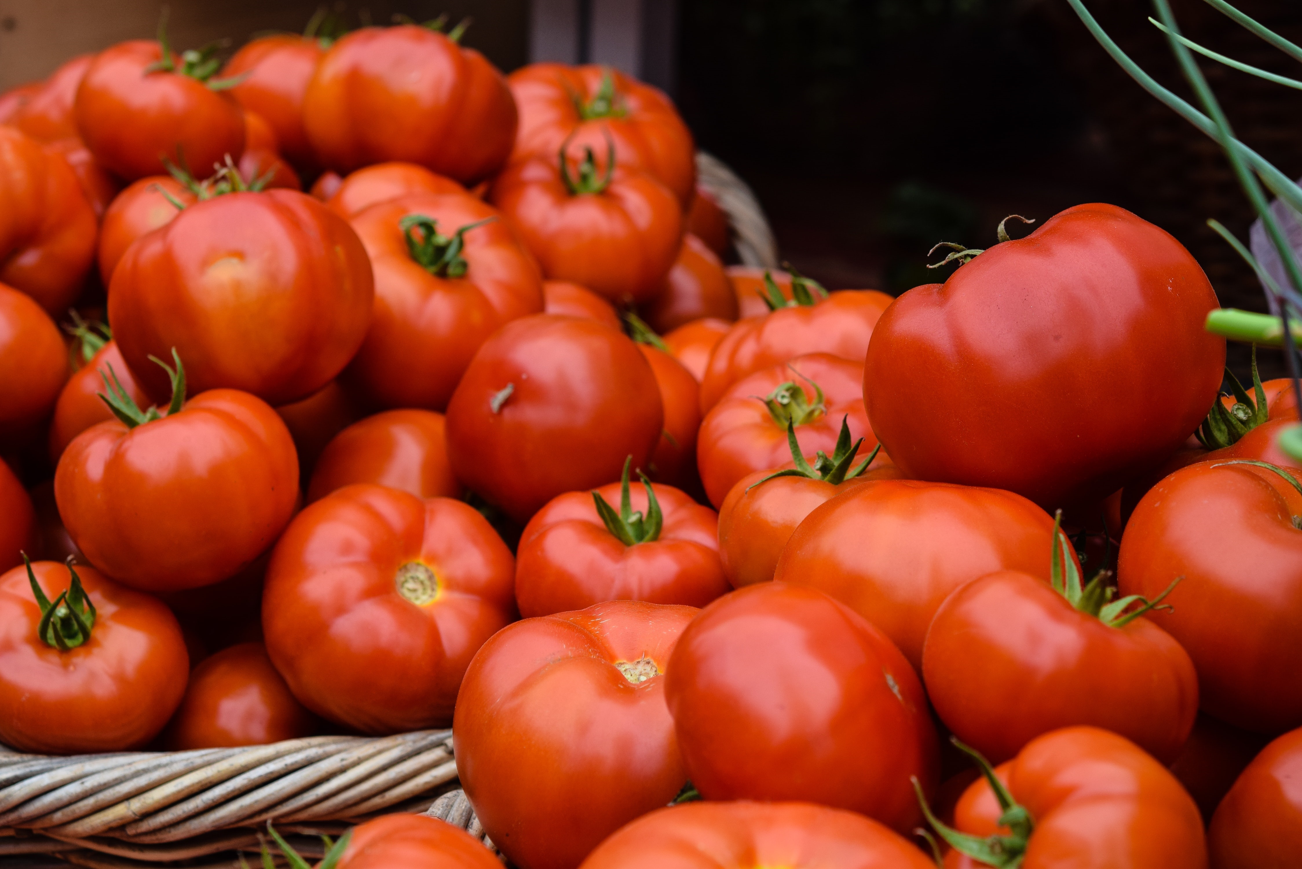 토마토 영양 성분&#44; 효능 3가지 및 부작용