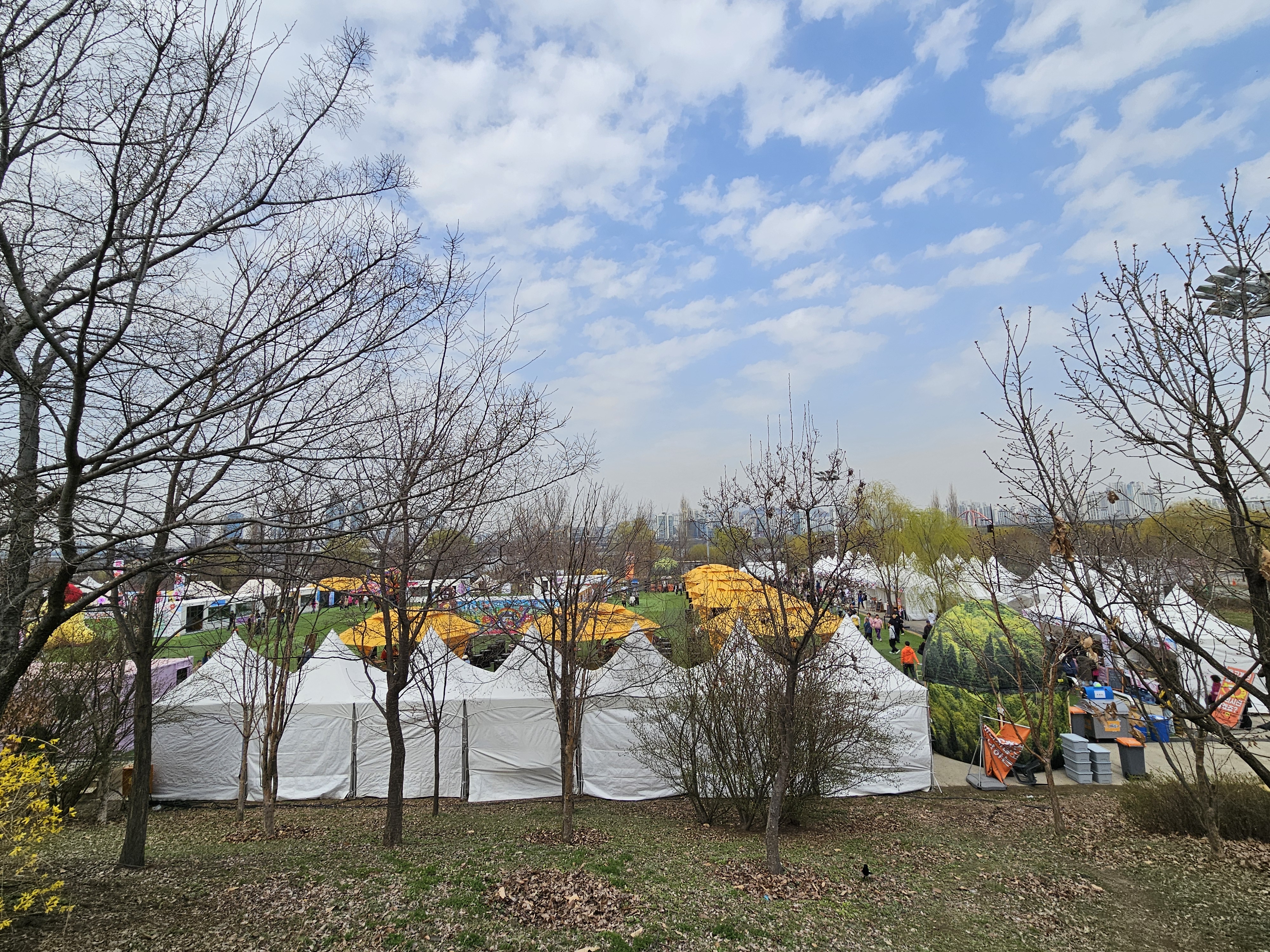 여의도 벚꽃 개화현황 및 벚꽃없는 여의도 봄꽃축제 모습 - 행복의 유효시간은 지금 이미지