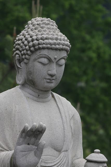 대웅전과 법당의 차이: 불교 사찰의 중심 공간 비교