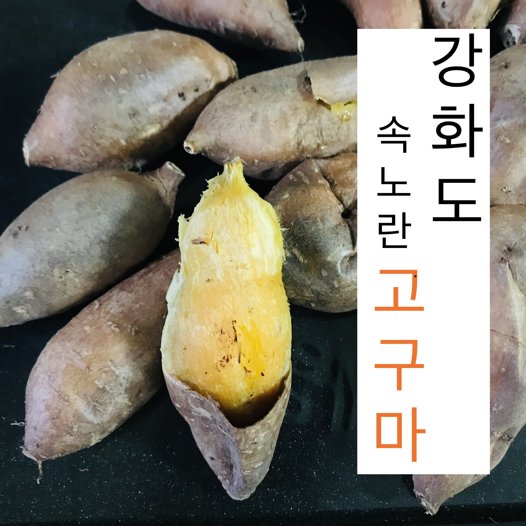  강화도  고구마, 강화 속노란 고구마, 집에서 군고구마 만들기