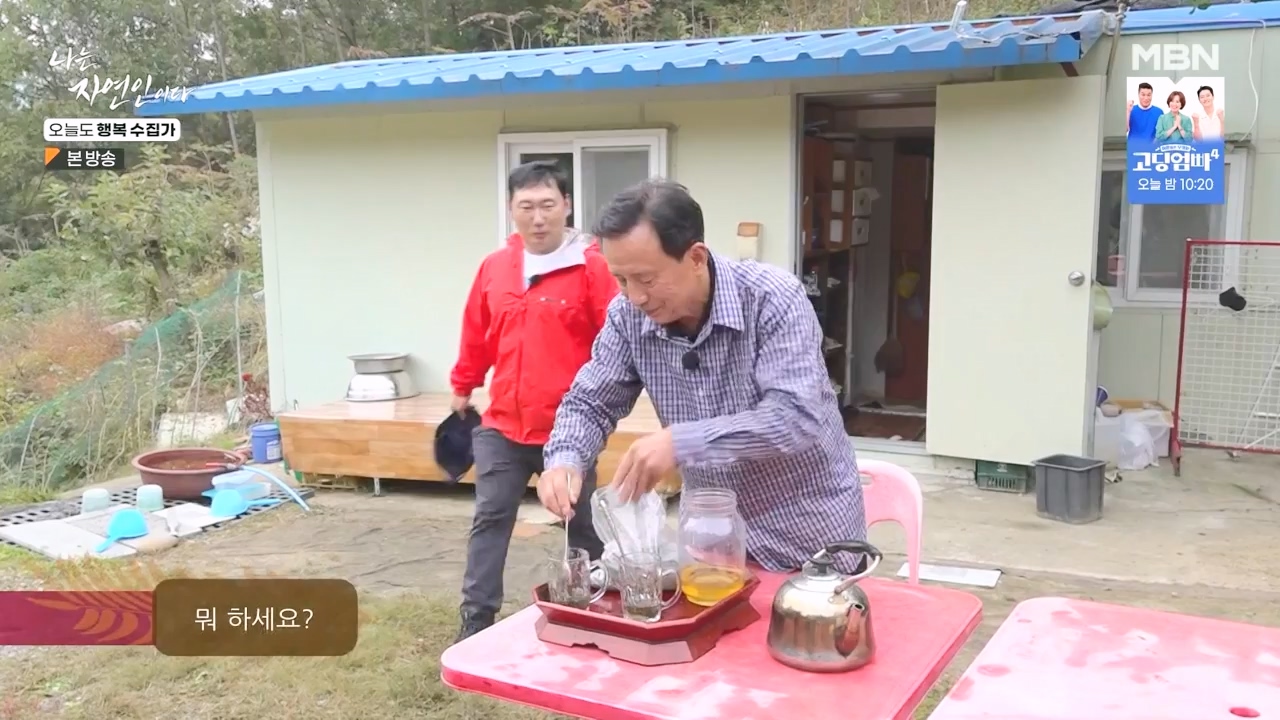 나는 자연인이다.E578.231102p-NEXT.mp4_20231102_202939.128.jpg