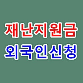경기도 2차 재난지원금 외국인 신청 방법