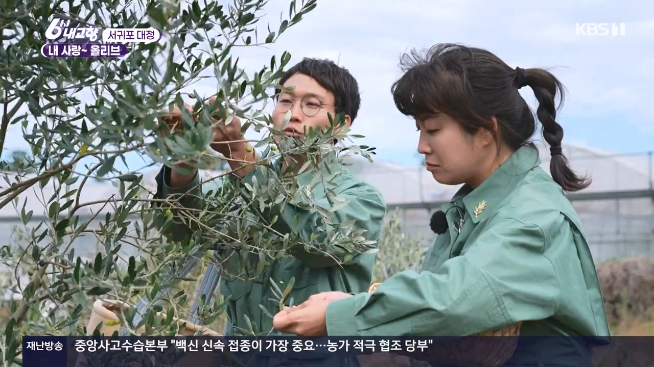 6시 내고향.E7910.231032p-NEXT.mp4_20231101_204600.567.jpg