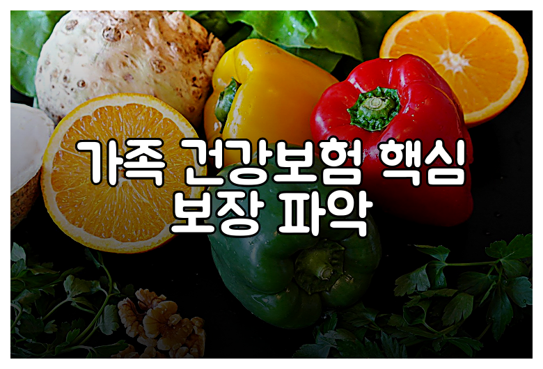 가족 건강보험 핵심 보장 파악