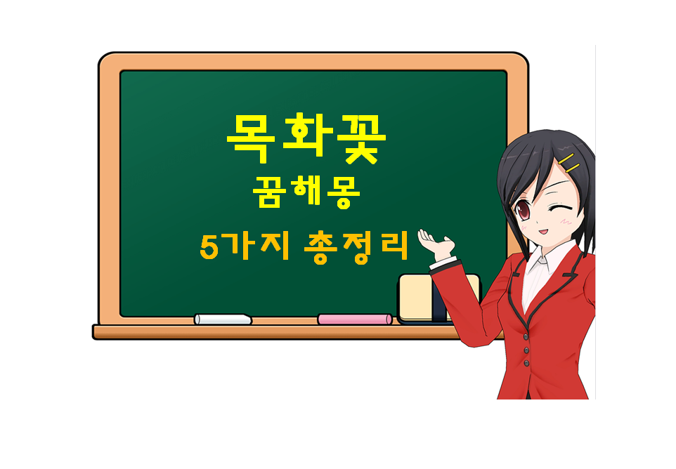  목화꽃 꿈 해몽 5가지 총정리
