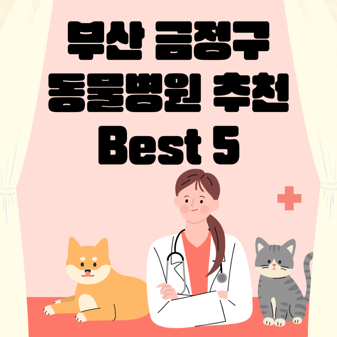 부산 금정구 동물병원 추천 Best 5 ㅣ24시간 동물병원ㅣ비용ㅣ반려동물 의료비 지원 50만원 블로그 썸내일 사진