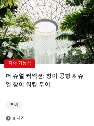 싱가포르 관광청 액티비티 사진이다.