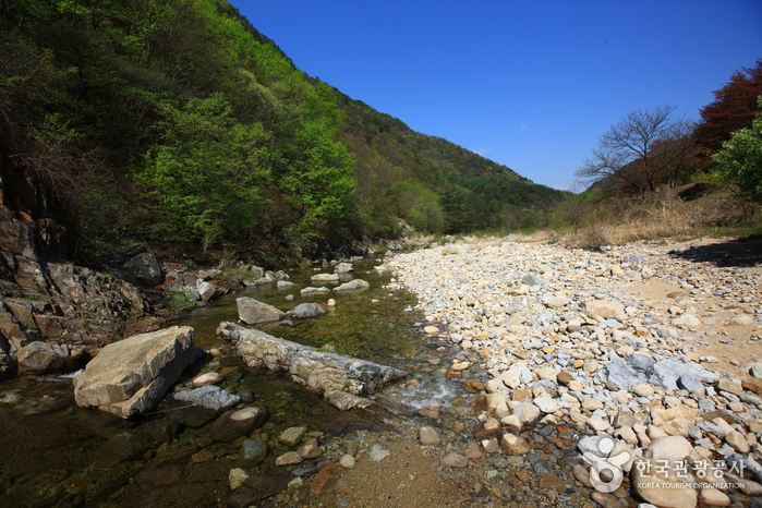 괴산 가볼만한곳 베스트10