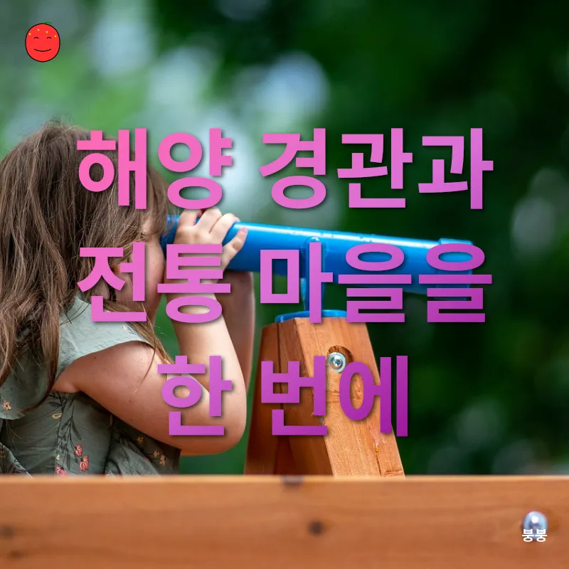 코모로 섬 여행_2