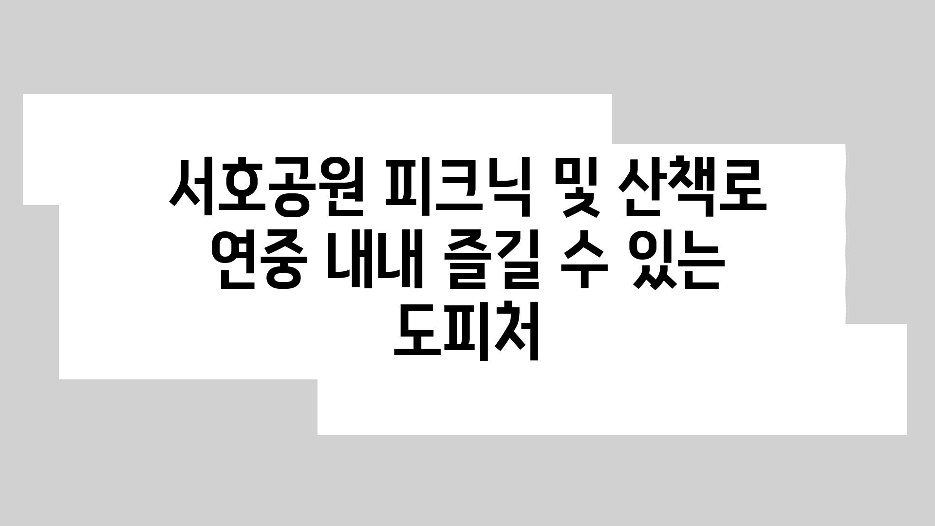 서호공원 피크닉 및 산책로 연중 내내 즐길 수 있는 도피처