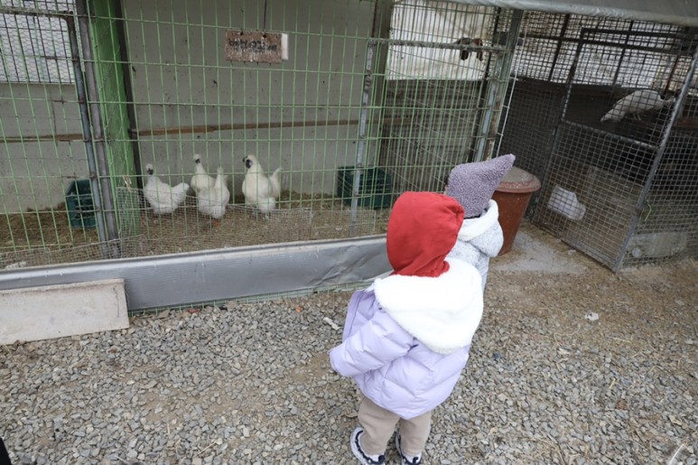 정현딸기농장, 17