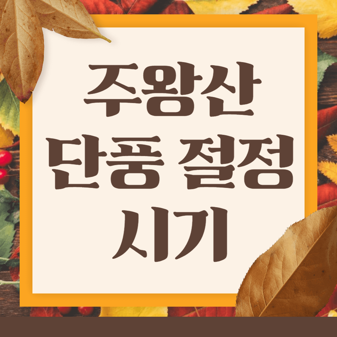 주왕산 단풍절정시기 11월 여행지 추천