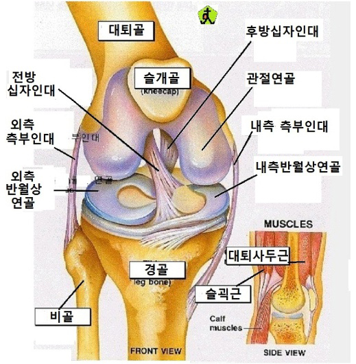  무릎통증 원인 7가지 및 예방 방법