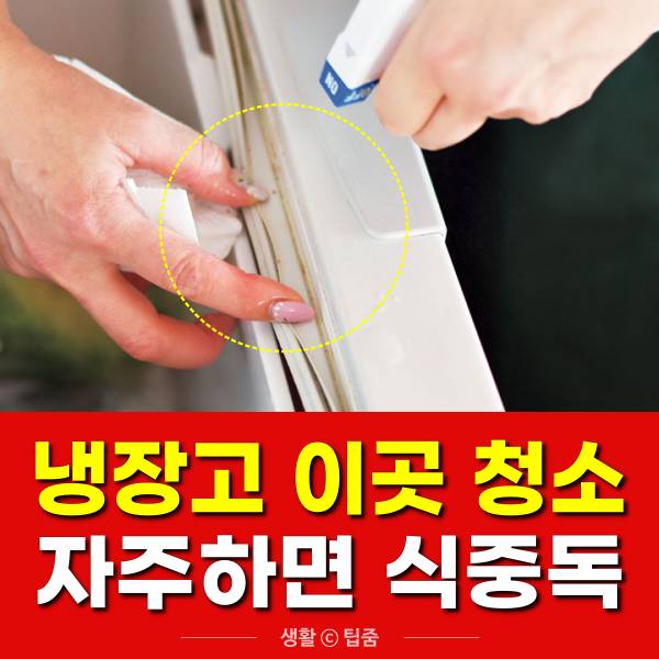 냉장고 청소 식중독 예방 5대 요령,팁줌