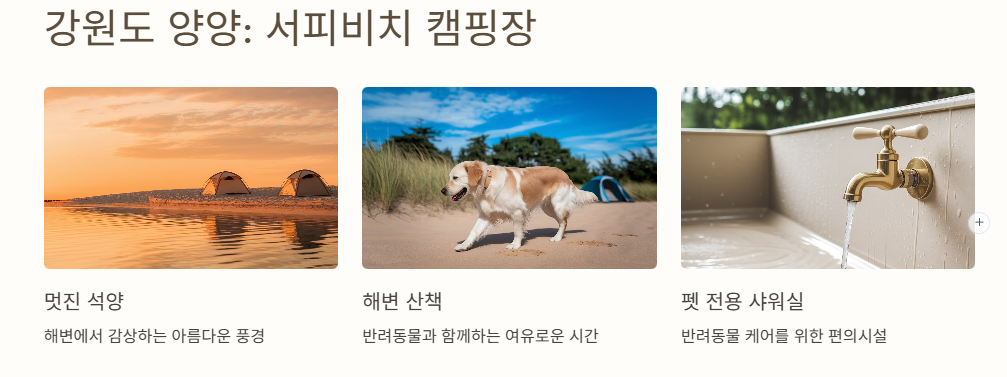 강원도 양양 서피비치 캠핑장