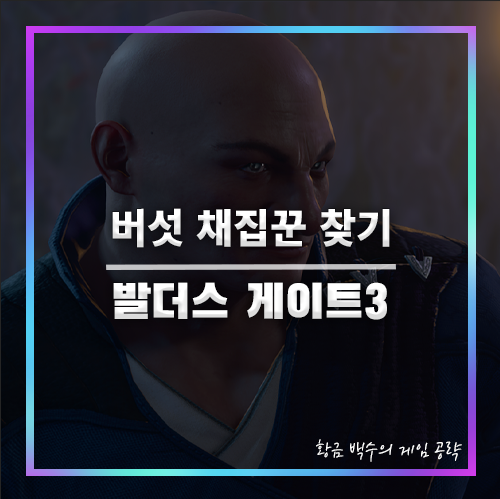 발더스3 버섯 채집꾼 찾아서