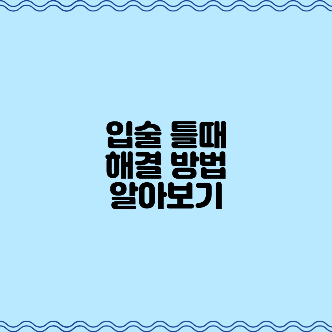  입술 틀때 해결방법 알아보기