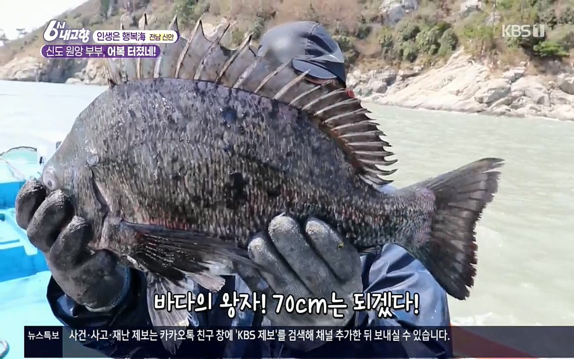 6시 내고향.E7518.220426p.H264-F1RST.mp4_20220504_192339.520.jpg