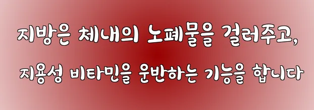  지방은 체내의 노폐물을 걸러주고, 지용성 비타민을 운반하는 기능을 합니다