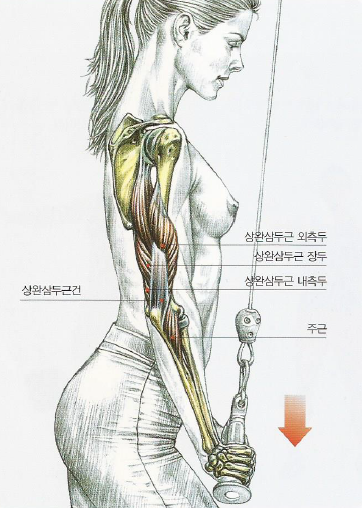존피트니스 이미지