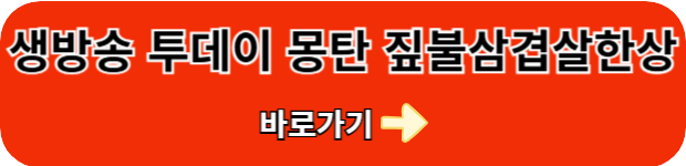 생방송투데이-짚불삼겹살한상