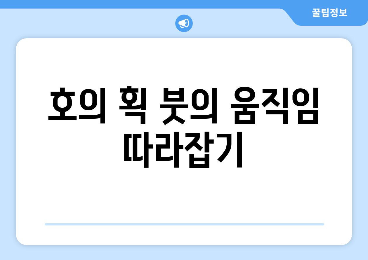 호의 획, 붓의 움직임 따라잡기