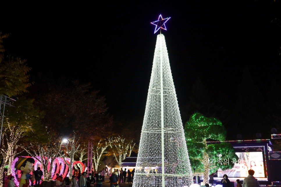 경북 축제 경북 아이와가볼만한곳 청도 14