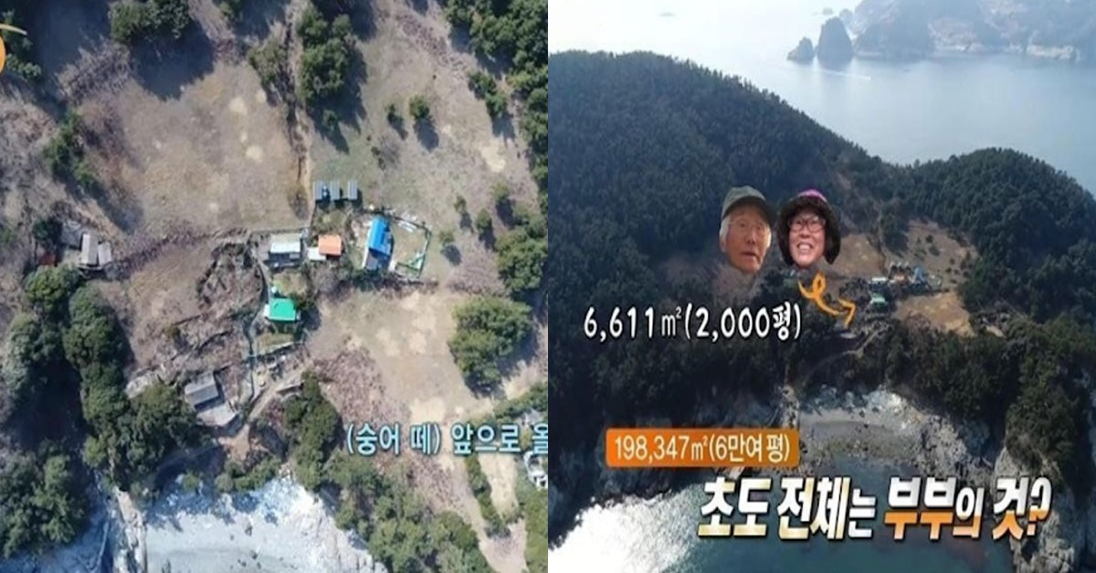  2500만 원에 무인도 전체 구입해서 단둘이 살고 있다는 부부의 일상