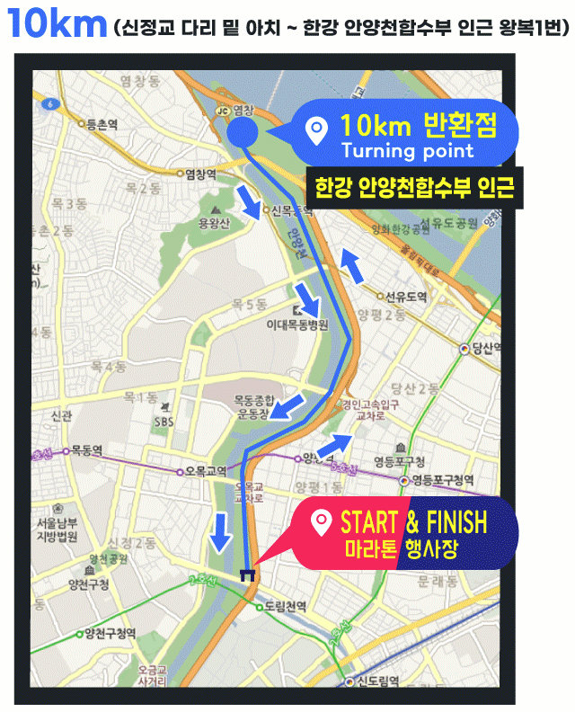새해 일출런 10km 코스