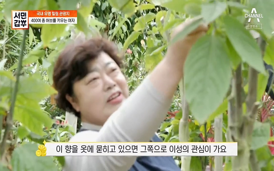 서민 갑부.E380.220424p-NEXT.mp4_20220424_182215.719.jpg