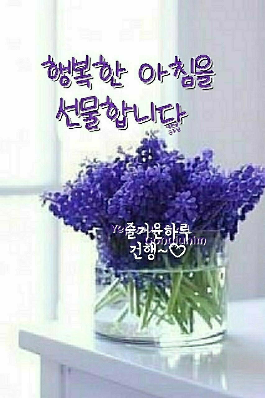 행복한 아침 이미지