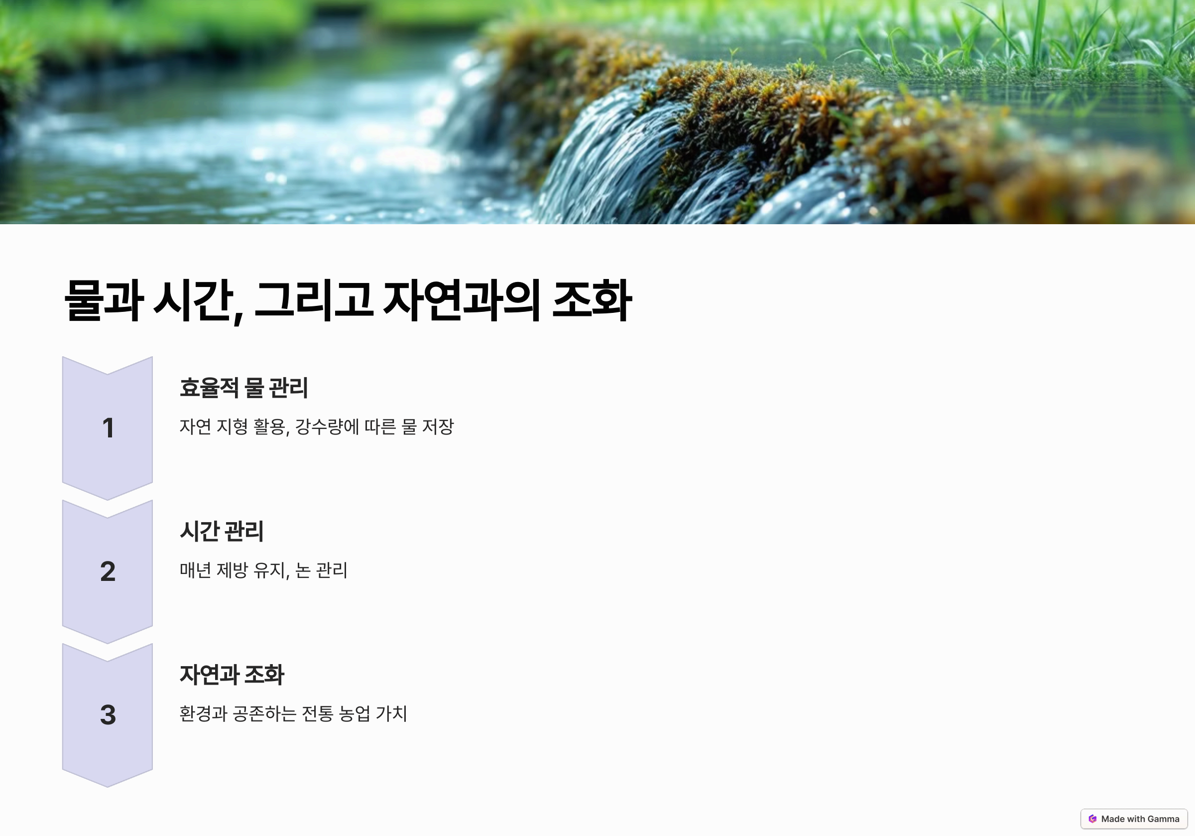 일본의 테라스 농업: 산과 자연을 활용한 전통 농업의 지혜