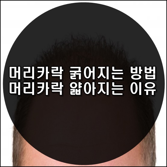  머리카락 굵어지는 방법 및 머리카락 얇아지는 이유