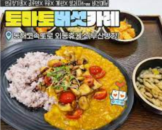 토마토버섯카레