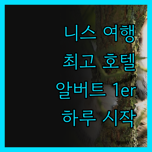 니스 여행, 알버트 1er 호텔에서 